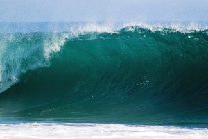 Big Wave/ a big wave peaking and breaking on the east coast of New Zealand